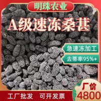 產(chǎn)地直銷(xiāo)A級(jí)速凍桑葚冷凍去蒂桑葚果汁原料冷凍桑葚果汁速凍水果